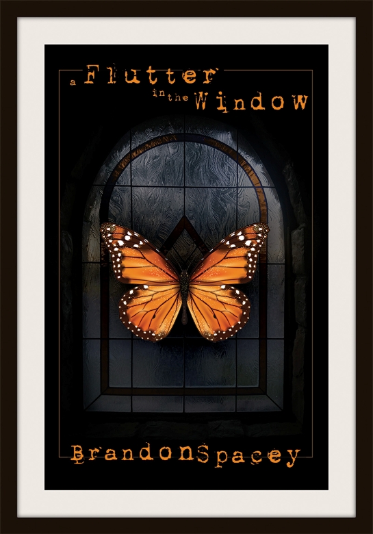 A Flutter in the Window cover